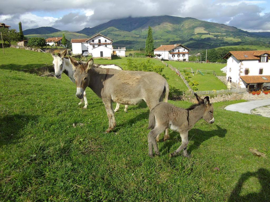 Casa Rural Gananea Zuaztoy de Azpilcueta Номер фото
